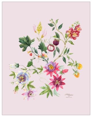 Asciugapiatti PASSIFLORA - Fratelli Graziano